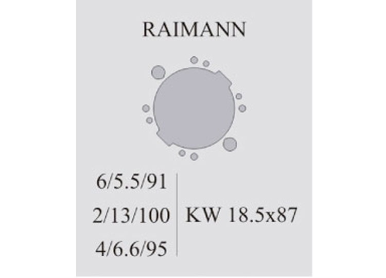 Lama circolare per multilama con rasanti